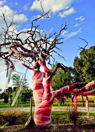 Fabric installation art , tree , blue sky , monochromatic color redの写真素材