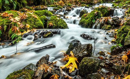 Wahkeene Creek, Columbia Gorge, Oregon