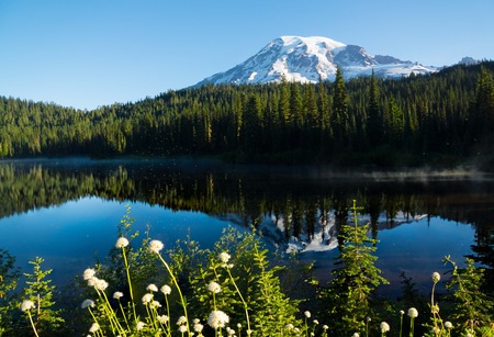 Mt. Rainier Reflection lakeの写真素材