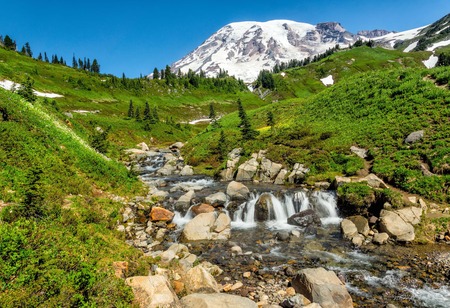 Edith creek, Mt. Ranier National Parkの写真素材