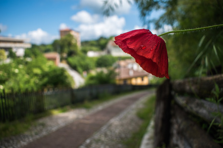 Slower, water and ancient townの写真素材