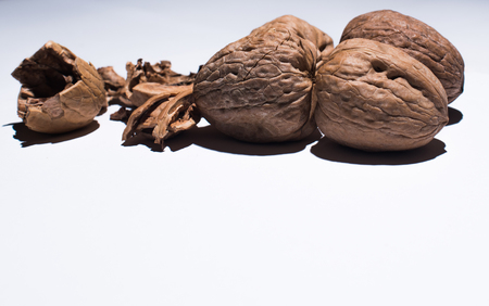 Group of walnutsの写真素材