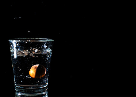 Hazelnut into the waterの写真素材