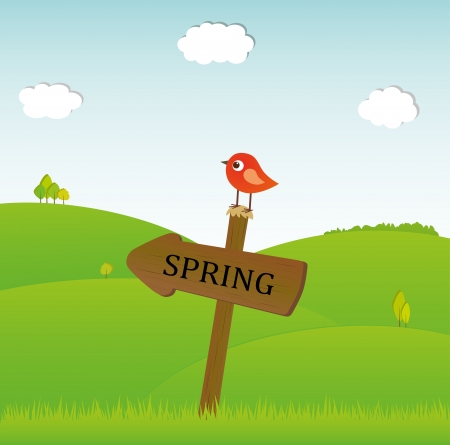 vector cute bird in spring timeのイラスト素材
