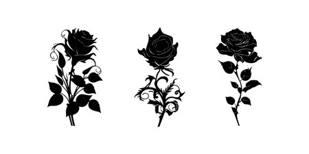 Black rose icon. Vector illustration set design.のイラスト素材