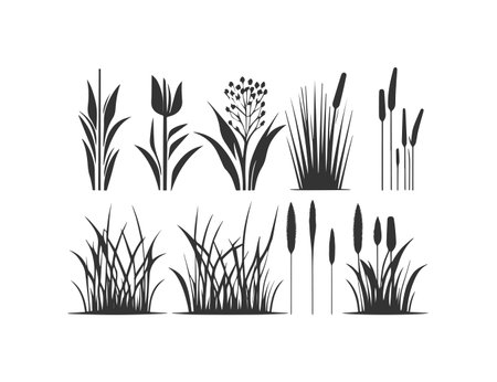 Reed silhouette icon. Vector illustration design.のイラスト素材