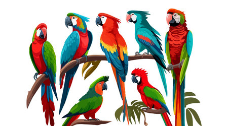 A set of parrots. Vector illustration design.のイラスト素材