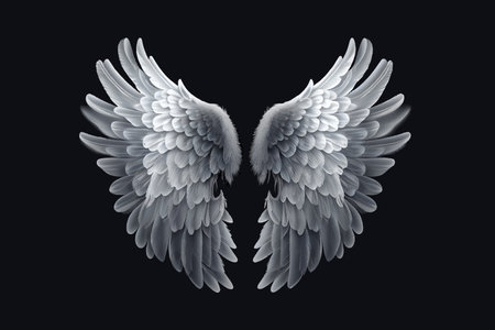Angel wings illustration. Vector design.のイラスト素材