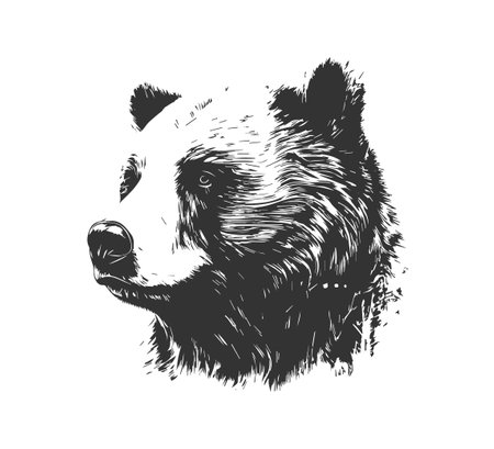 Head bear. Vector illustration design.のイラスト素材