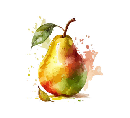 Watercolor pearl. Vector illustration design.のイラスト素材