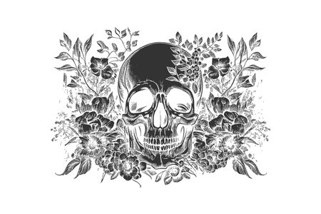 Human skull in flowers sketch hand drawn. Vector illustration design.のイラスト素材