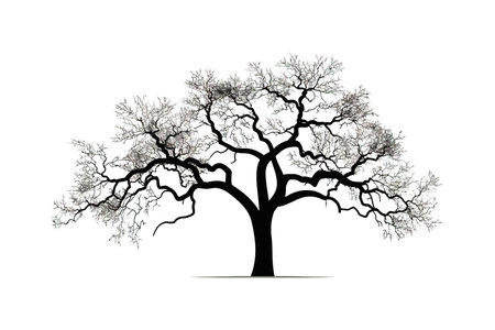 Bare branches of sessile oak tree against sky silhouette. Vector illustration design.のイラスト素材