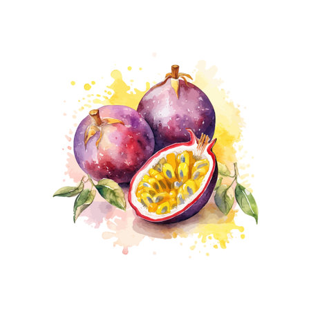 Hand drawn watercolor painting passion fruit. Vector illustration design.のイラスト素材