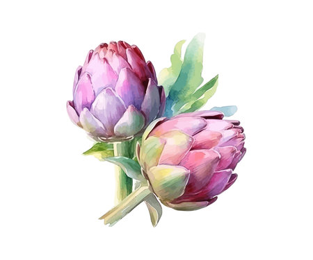artichokeのイラスト素材