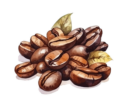 Coffee beans watercolor. Vector illustration design.のイラスト素材