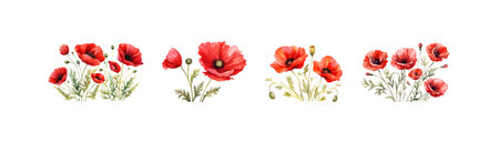 Watercolor red poppy set. Vector illustration design.のイラスト素材