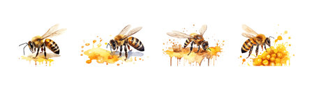 Watercolor honeybee clipart for graphic resources. Vector illustration design.のイラスト素材