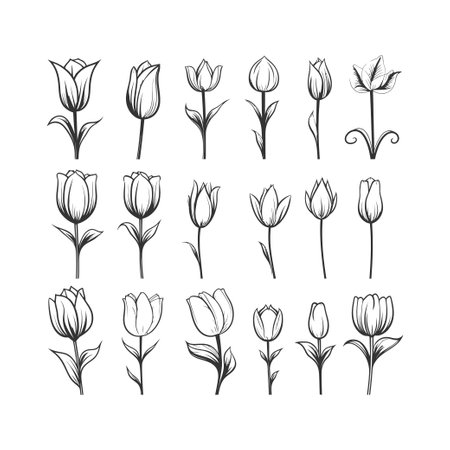 Tulip flower icon set. Vector illustration design.のイラスト素材