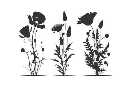 Three black silhouettes of flowers. Vector illustration design.のイラスト素材