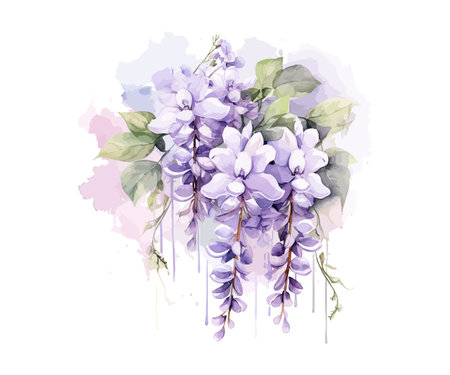 Wisteria watercolor flowers. Vector illustration design.のイラスト素材