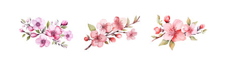 Watercolor blossom flower clipart for graphic resource. Vector illustration design.のイラスト素材
