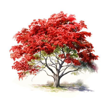Rowan Tree watercolor. Vector illustration design.のイラスト素材