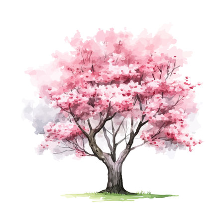 Sakura Tree watercolor. Vector illustration design.のイラスト素材