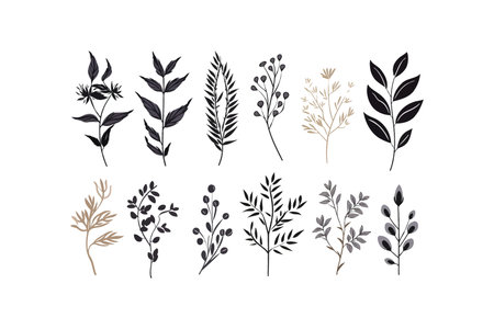 Leaves elements Hand drawn style. Vector illustration designのイラスト素材