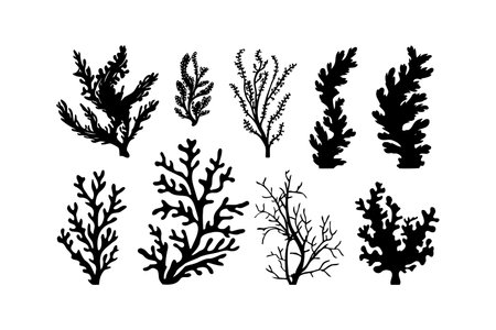 Set of Coral Silhouettes in Black. Vector illustration design.のイラスト素材