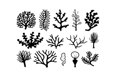 Assorted Black Silhouette Coral. Vector illustration design.のイラスト素材
