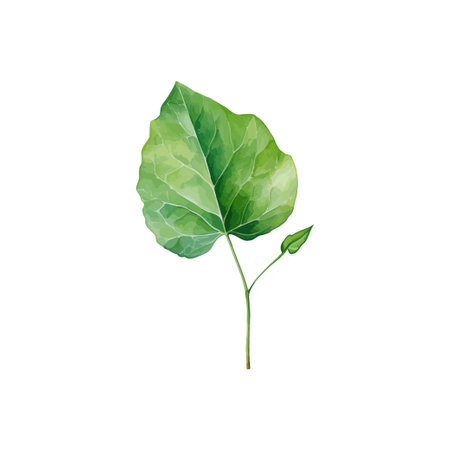 Vibrant Green Watercolor Leaves Isolated. Vector illustration design.のイラスト素材