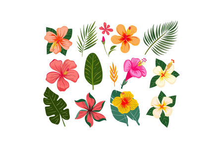 Collection of Tropical Flowers and Leaves. Vector illustration design.のイラスト素材