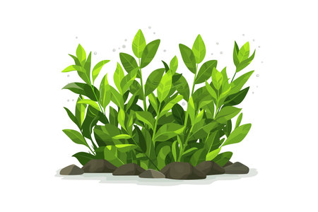 Dense Green Foliage with Rocks. Vector illustration design.のイラスト素材