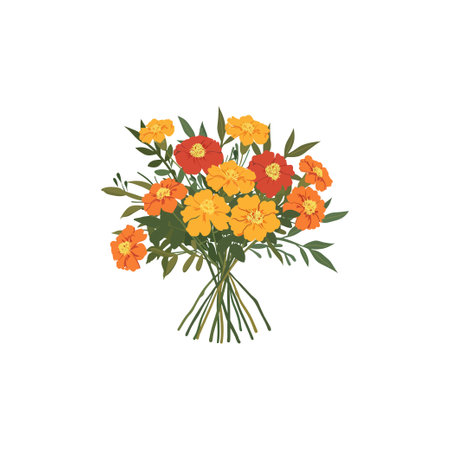 Colorful Marigold Bouquet. Vector illustration design.のイラスト素材