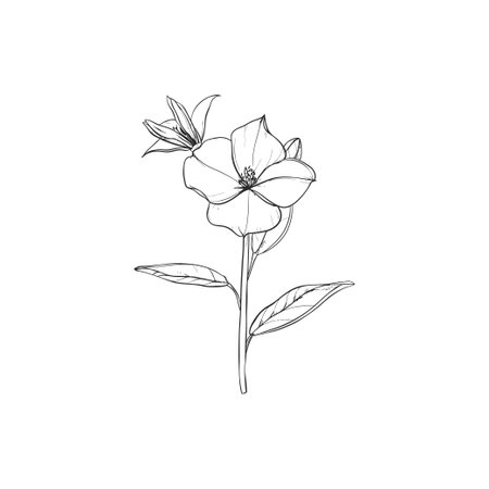 Simple black and white flower line art. Vector illustration design.のイラスト素材