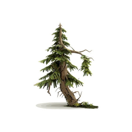 Illustration of a crooked evergreen tree in nature. Vector illustration design.のイラスト素材