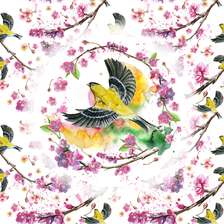watercolor drawing seamless pattern on the theme of the spring, heat, illustration of a bird of a sparrow-like fleet of Orioles flying, with open wings, feathers, with yellow plumage, hyperrealism,の写真素材