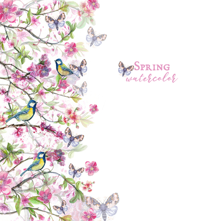 Watercolor drawing of cherry cherry blossoms cherry blossoms, pink flowers, gentle tones, on the theme of spring, mother's day, March 8, birthday with birds, tits and oriol for decor and design of posの写真素材