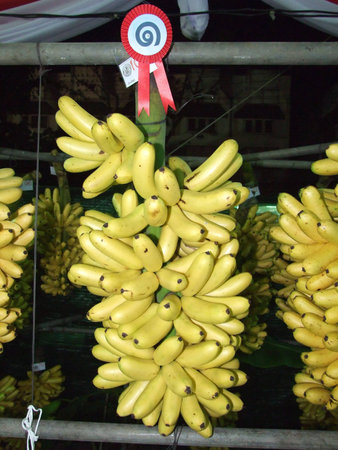 bananasの写真素材