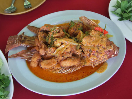 thai foodの写真素材