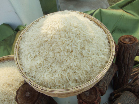 riceの写真素材