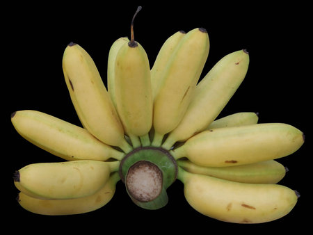 bananasの写真素材