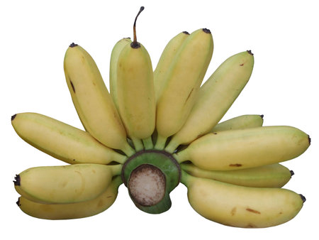 bananasの写真素材