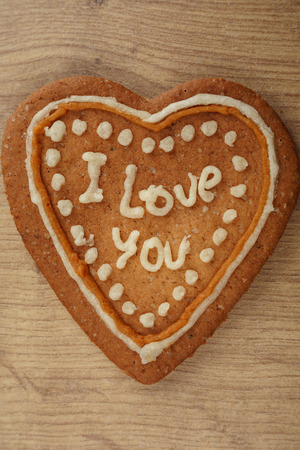 gingerbread Cookieの写真素材