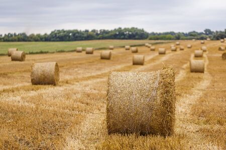 Hay roll on a meadow against a cloudy sky on a long focus