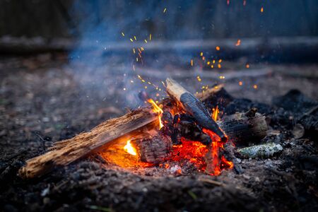 Campfire with sparks in forest outdoor campingの写真素材