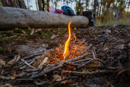 Young campfire in forest outdoor camping.の写真素材