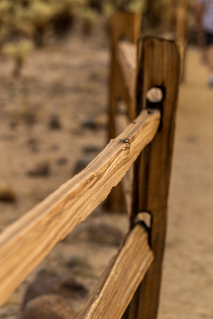 Wood fence in a parkの写真素材