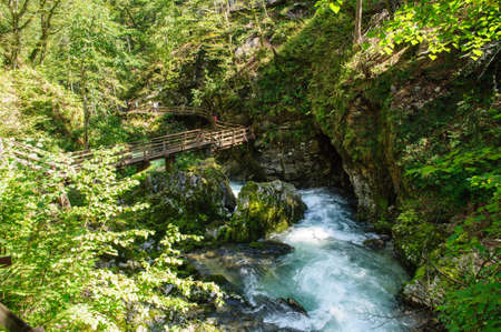 Vintgar Gorge in Slovenia near Lake Bled. Wild nature with river and waterfall in deep canyon. Accessible for tourists on bridges and footbridges.の写真素材