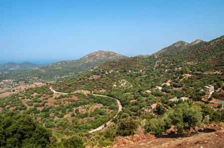 Landscape on the island of Corsica in France. Barren dry landscape with small trees and mountains in the background.の写真素材